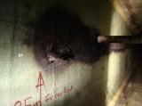 BURNT SHEAR WEB