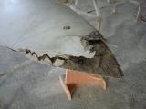 BURNT AND DEBONDED BLADE TIP